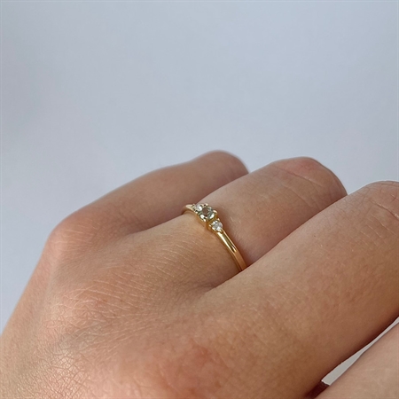 Petit - Grøn safir ring i 14 kt. guld | R1110